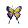 applicatie - Giant Butterfly Purple/Yellow