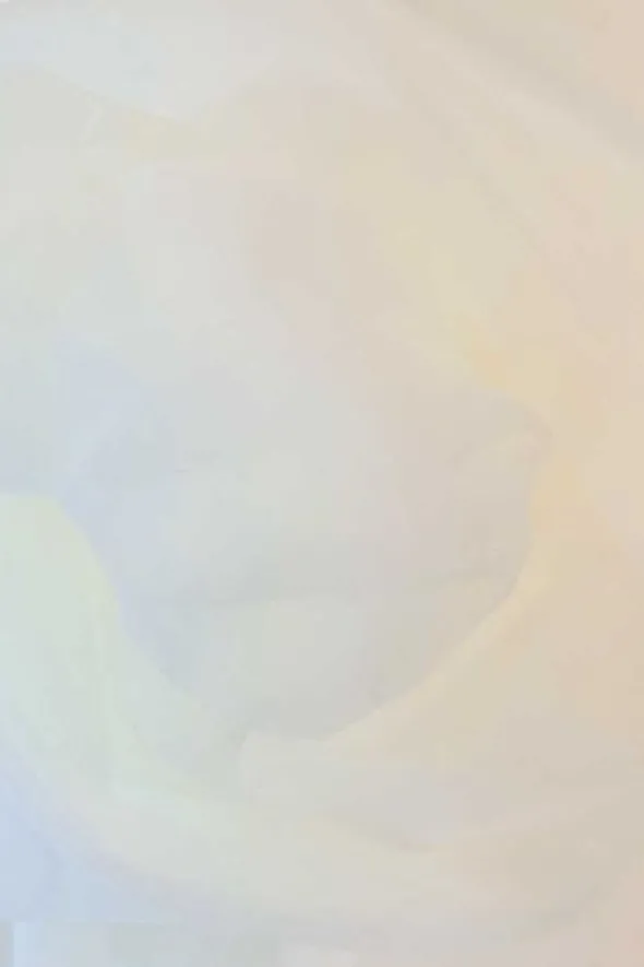 Brandvertragende Tule - 300cm - Light Creamy