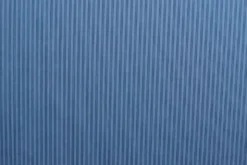 Chambray - Fine Black Lines on Classy Blue