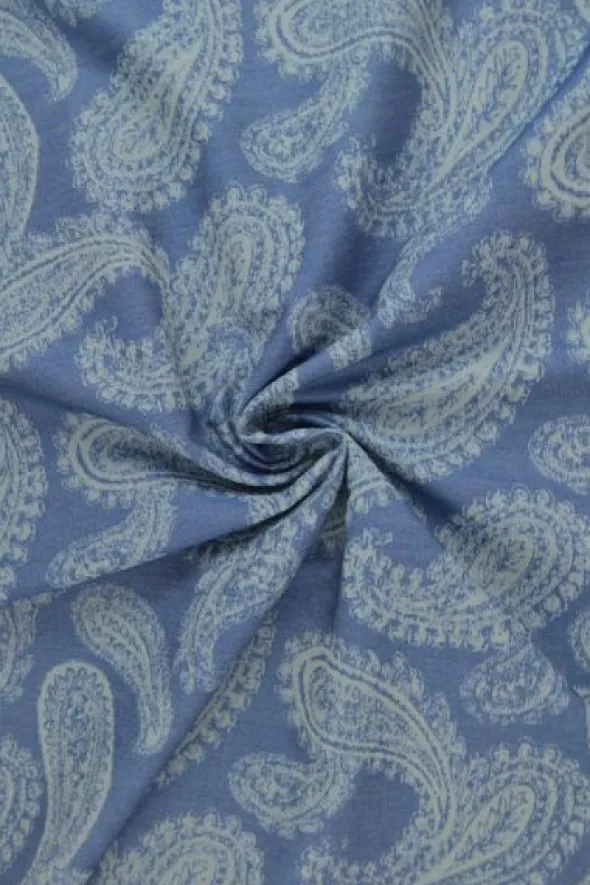 Chambray - Paisley on Blue
