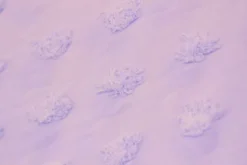 Chiffon Dots - Lilac
