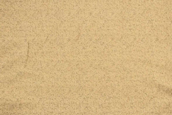 Jacquard Gobelin - Light Peach Texture
