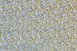 Katoen - Golden and Tiny Blue Flowers on White
