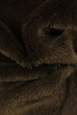 Kortharig Bont - Donker Bruin
