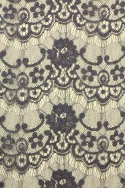 Lace - Lavender/Blue