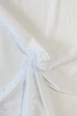 Lace - White Iris Flowers