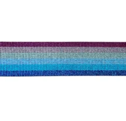 Luxe Tassenband 38mm - Glitter Rainbow
