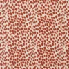 Lycra - Dotties