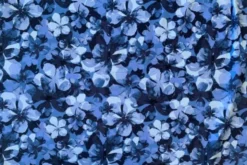 Lycra - Flowers in Blue
