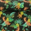 Lycra - Growing pineapple