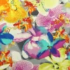 Lycra - Orchid Parardise