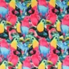 Lycra - Tropical Birds