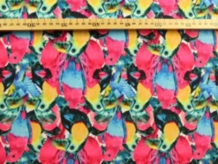 Lycra - Tropical Birds
