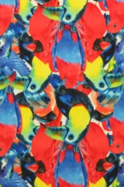 Lycra - Tropical Birds Red