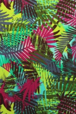 Lycra - Under the palm leaves
