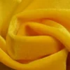 Lycra Velours Geel - 07