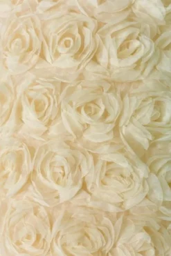 Mesh - Bridal Roses - Warm Champagne