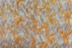 Mesh - Embroidery Feathers - Orange/White