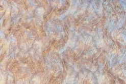 Mesh - Embroidery Feathers - Vintage Old Pink/White