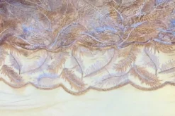 Mesh - Embroidery Feathers - Vintage Old Pink/White