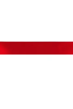 Newlife® Satijn Lint 50 mm - Rood