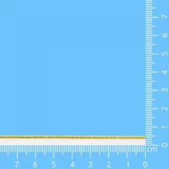 Paspelband Goud - 2mm