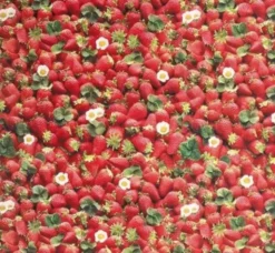 Tafelzeil - Strawberry