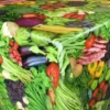 Tafelzeil - Vegetables