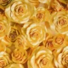Viscose - Golden Roses