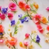 Viscose - Purple/Pink Real Spring Flowers on White